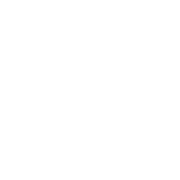 ESO-logo-full-wt